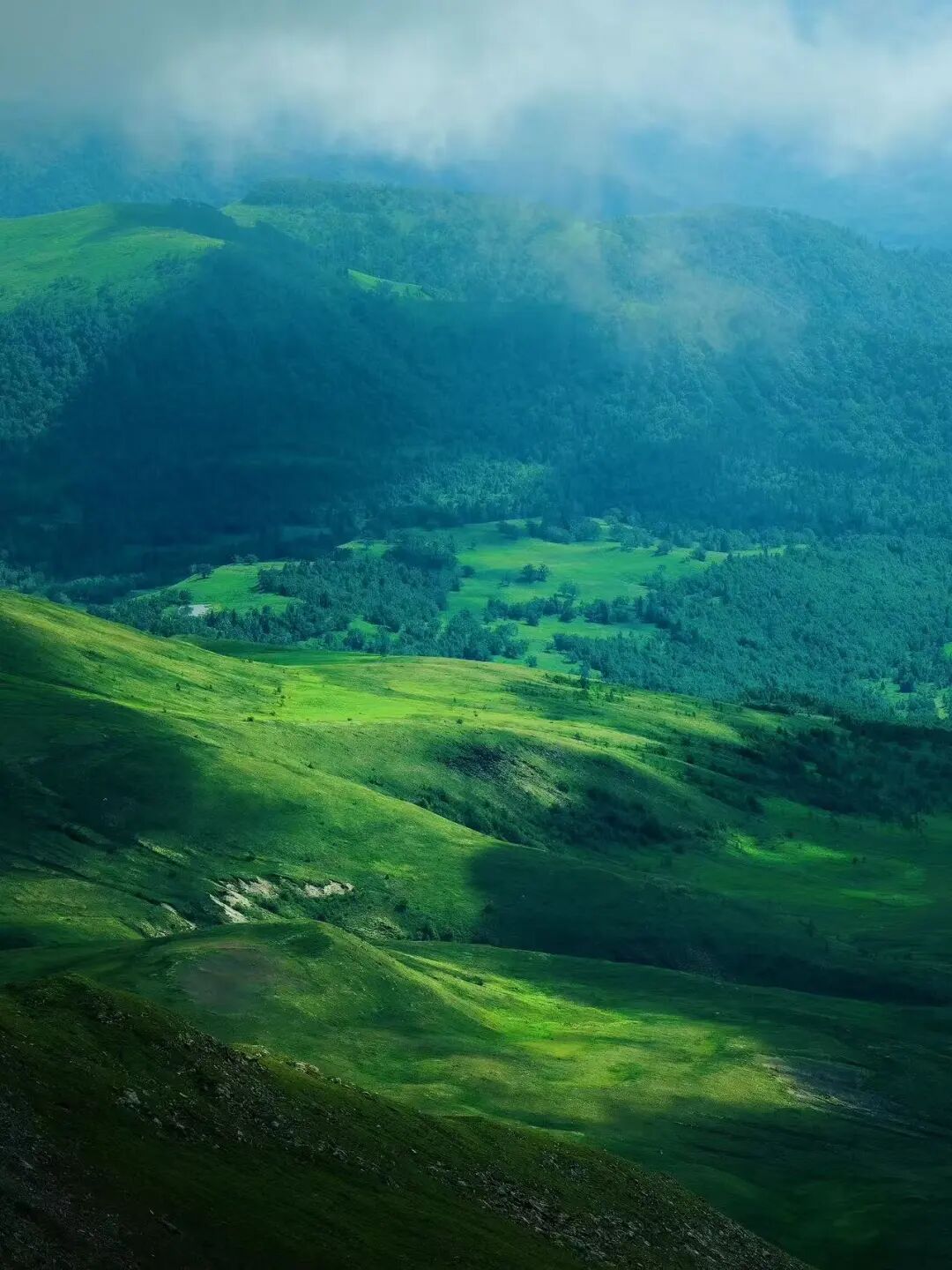 逃离40℃高温，进入22℃，被严重忽视的「清凉秘境」！火山河湖，森林飞瀑，还有一天6顿吃不够的美食！