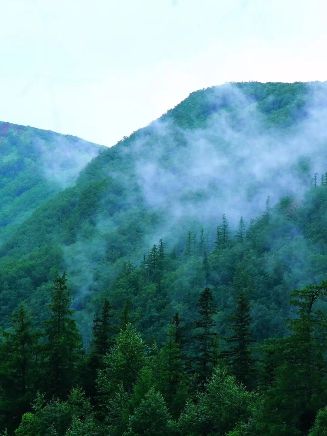 逃离40℃高温，进入22℃，被严重忽视的「清凉秘境」！火山河湖，森林飞瀑，还有一天6顿吃不够的美食！