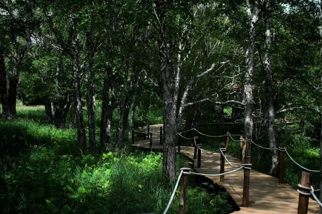 逃离40℃高温，进入22℃，被严重忽视的「清凉秘境」！火山河湖，森林飞瀑，还有一天6顿吃不够的美食！