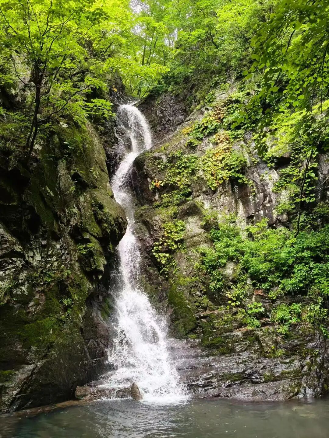 中国版新西兰，夏天最热仅25℃，最美边陲小城，烧烤全国第一，海鲜比青岛还带劲！