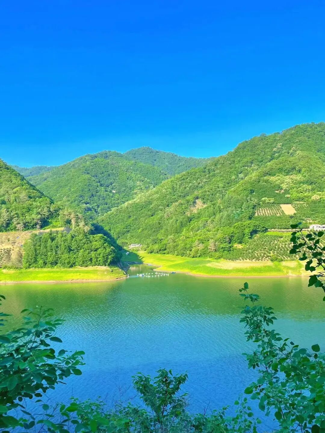 中国版新西兰，夏天最热仅25℃，最美边陲小城，烧烤全国第一，海鲜比青岛还带劲！