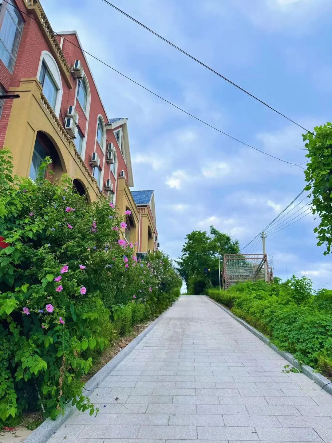 中国版新西兰，夏天最热仅25℃，最美边陲小城，烧烤全国第一，海鲜比青岛还带劲！