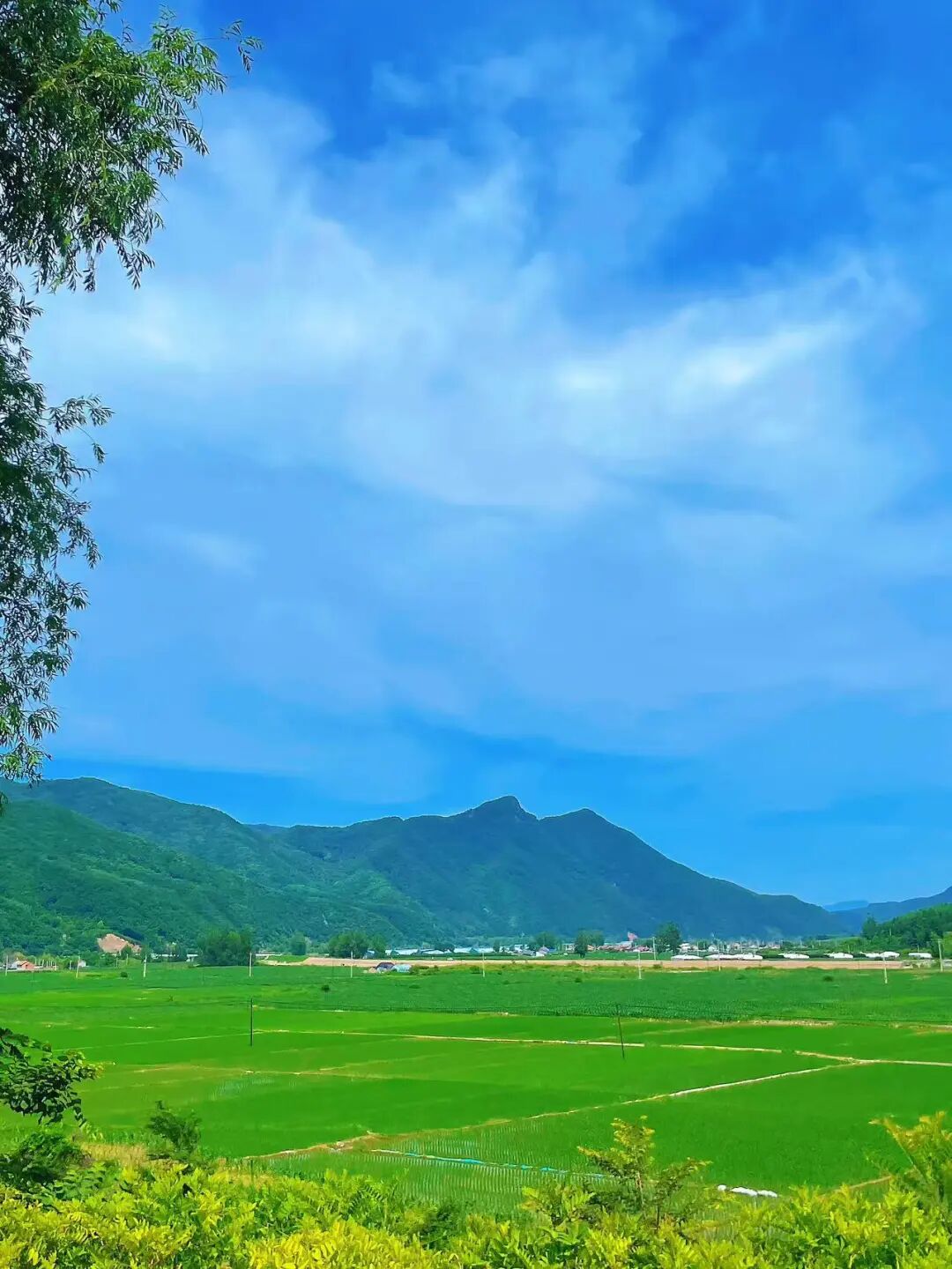 中国版新西兰，夏天最热仅25℃，最美边陲小城，烧烤全国第一，海鲜比青岛还带劲！