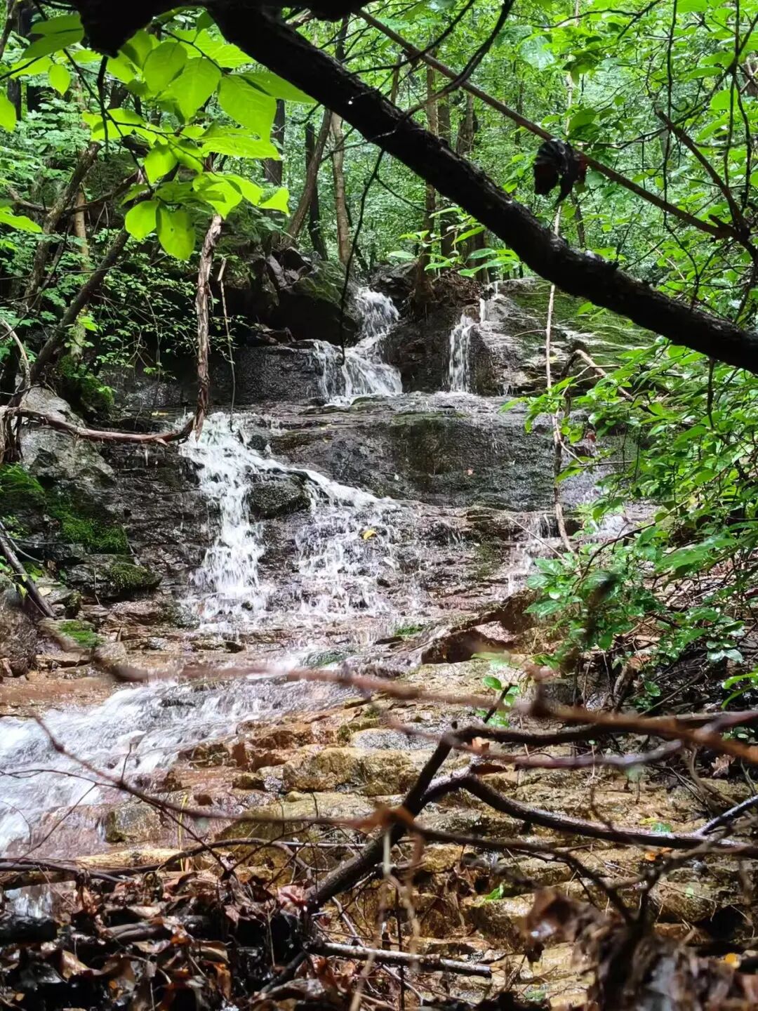 中国版新西兰，夏天最热仅25℃，最美边陲小城，烧烤全国第一，海鲜比青岛还带劲！