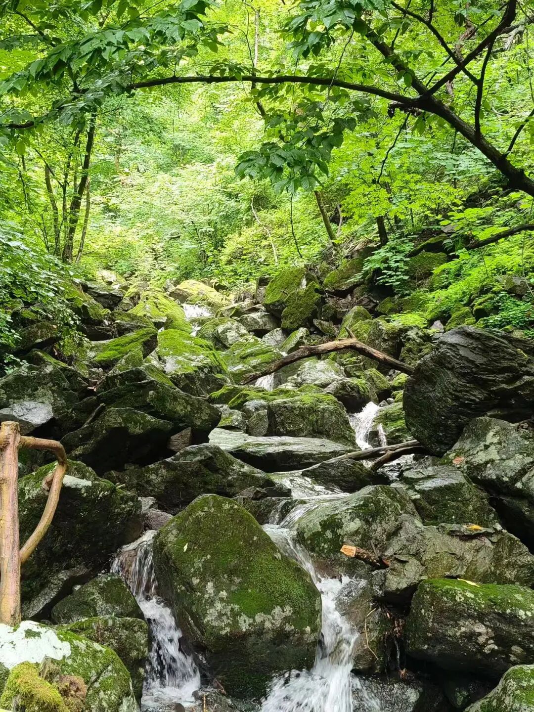 中国版新西兰，夏天最热仅25℃，最美边陲小城，烧烤全国第一，海鲜比青岛还带劲！