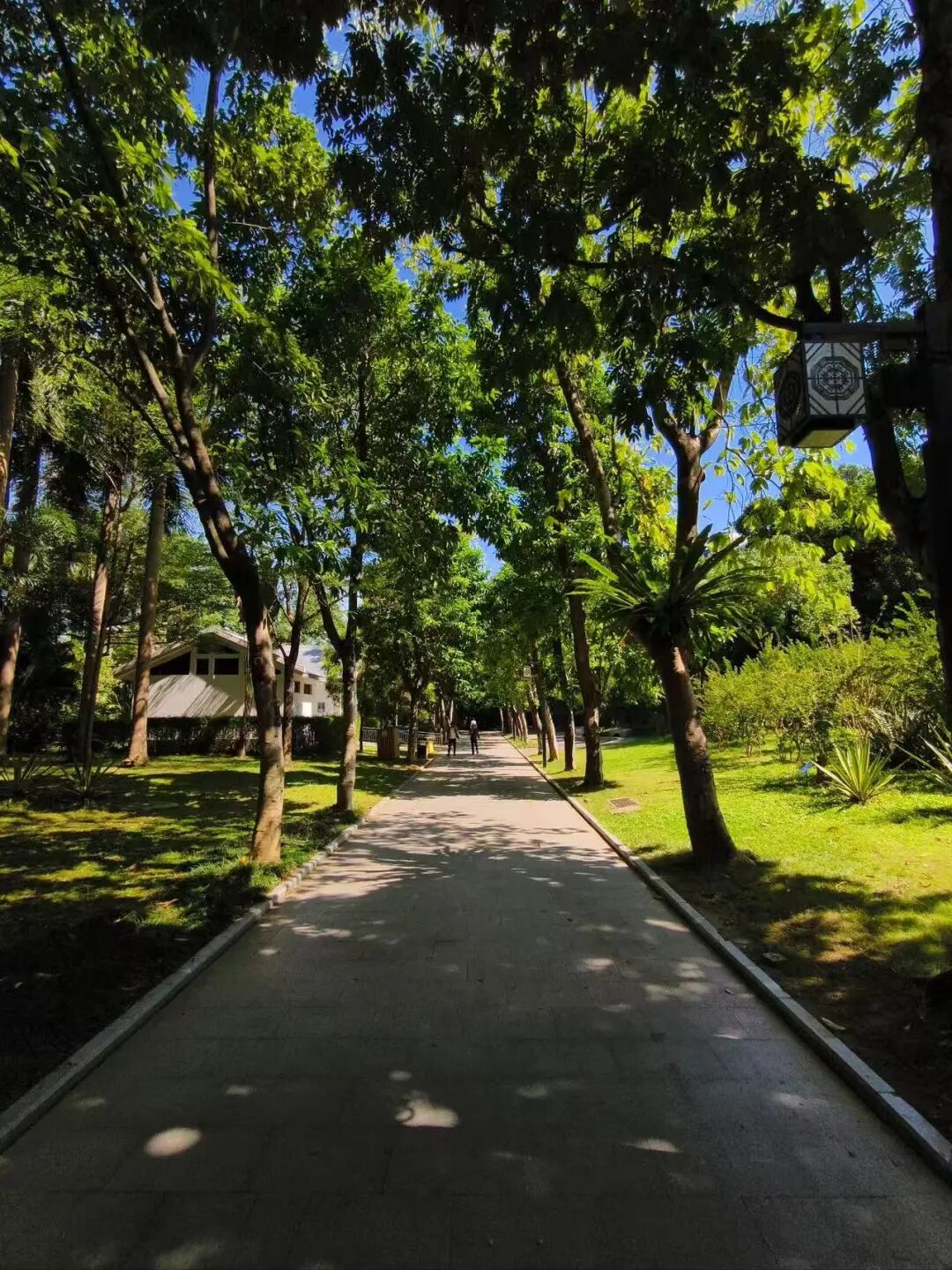 10元实现水果自由，嗦粉自由，这座颜值超高的神仙老城，夏天最低24度！来这里游玩太爽了