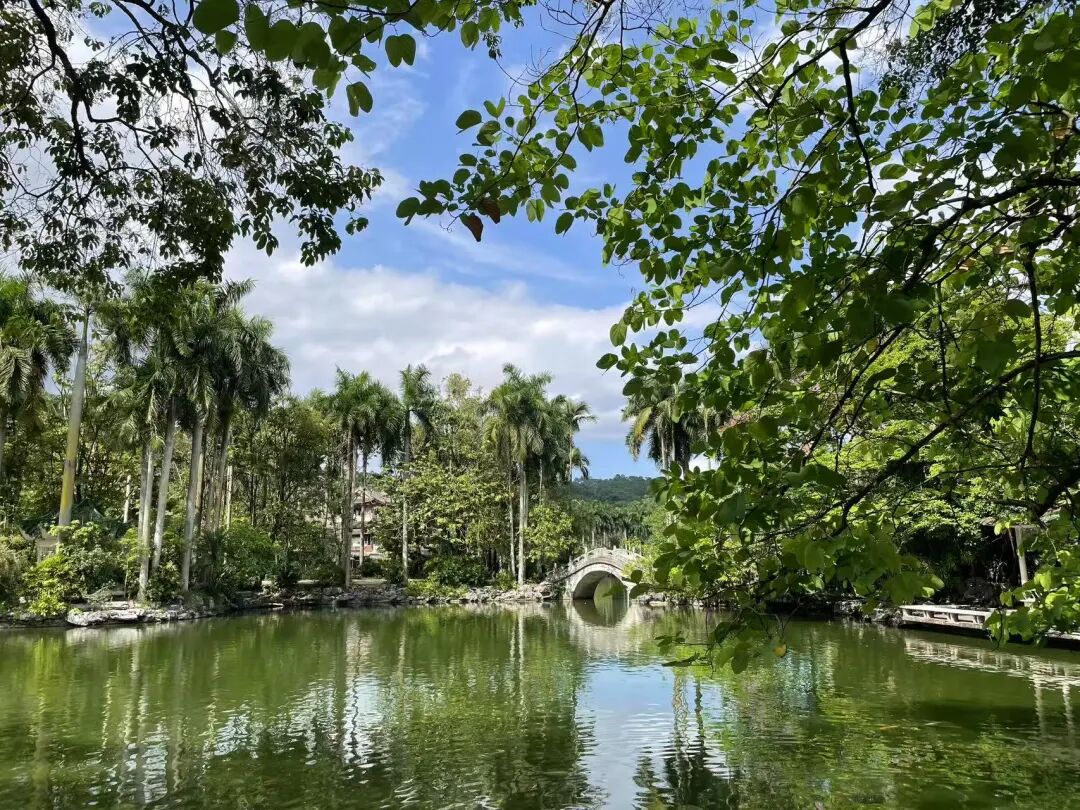 10元实现水果自由，嗦粉自由，这座颜值超高的神仙老城，夏天最低24度！来这里游玩太爽了