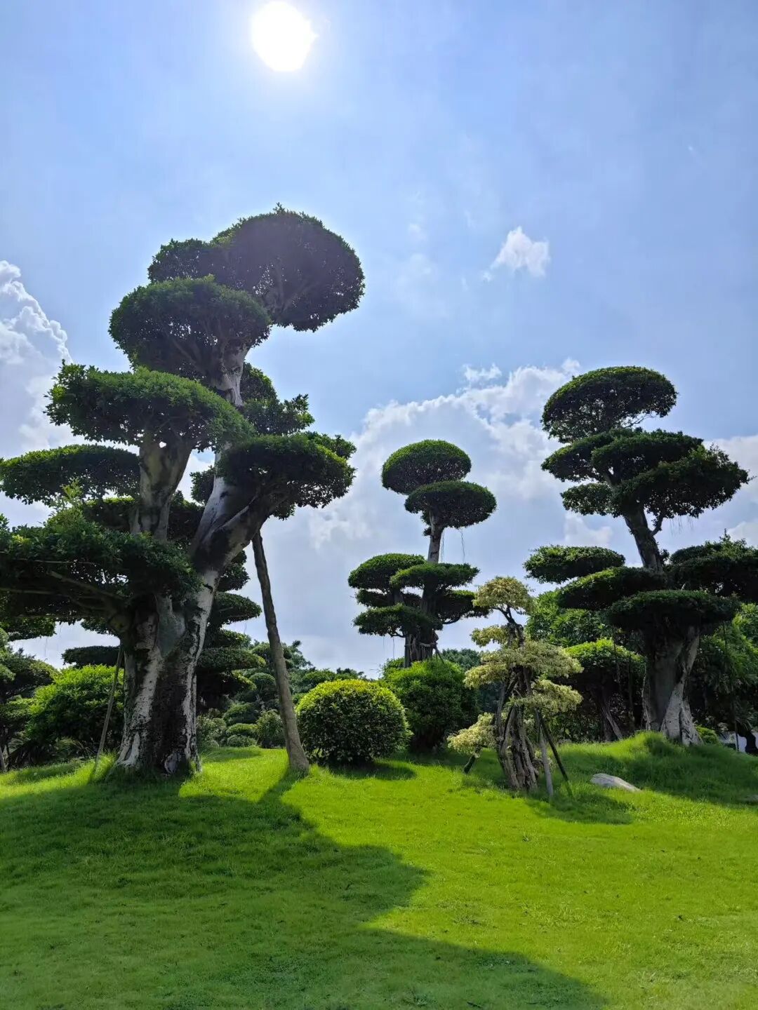 10元实现水果自由，嗦粉自由，这座颜值超高的神仙老城，夏天最低24度！来这里游玩太爽了