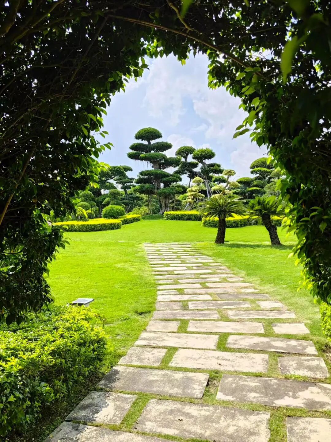 10元实现水果自由，嗦粉自由，这座颜值超高的神仙老城，夏天最低24度！来这里游玩太爽了