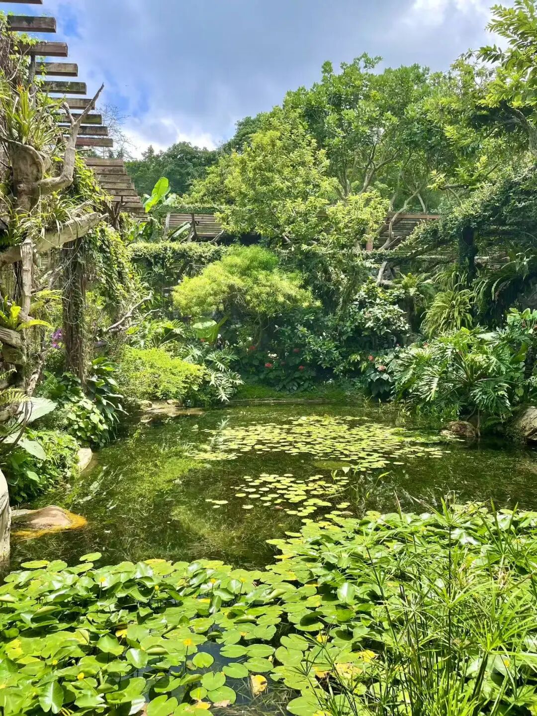 10元实现水果自由，嗦粉自由，这座颜值超高的神仙老城，夏天最低24度！来这里游玩太爽了