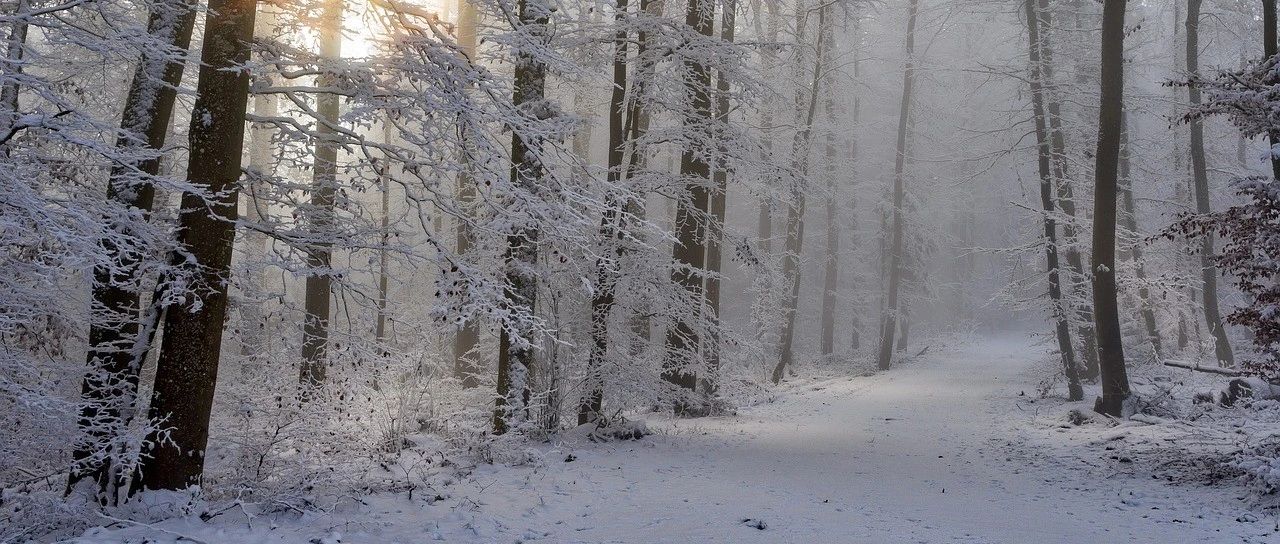 原创！哪些不动产不能抵押