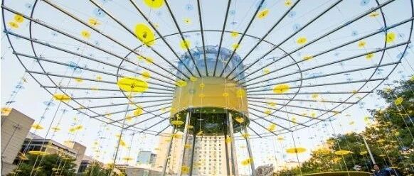 波士顿新晋潮人聚集地Lawn on D，你来体验了吗？