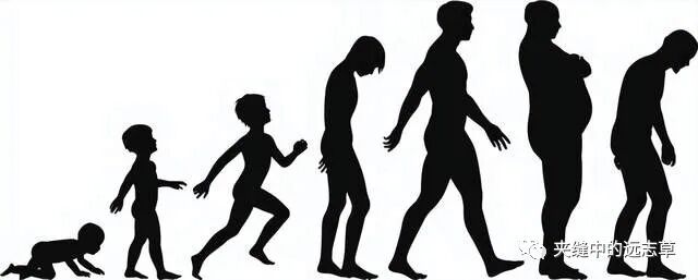 真正的衰老源于肾虚，一个中成药，把肾中的阴阳都给补足