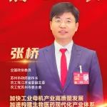张桥：为构建现代化产业体系高效履职