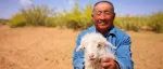 中国科大男返乡成羊倌：“西鲜记”里的滩羊故事