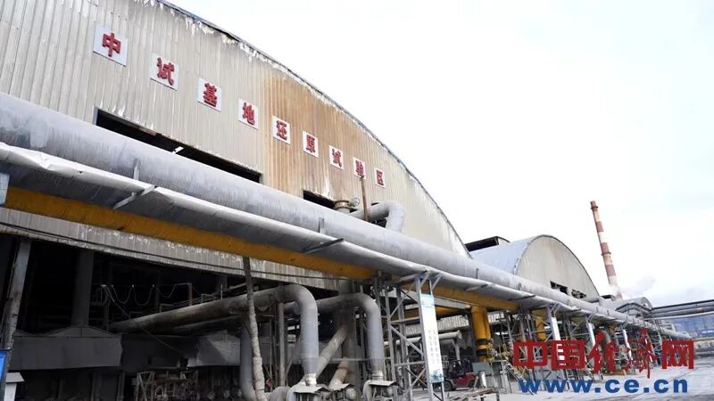 3.webp