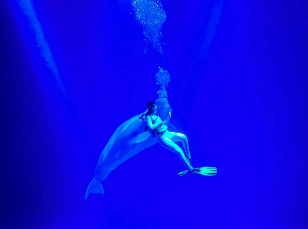 尔滨火了！网友预算18万求攻略，我给大家准备了一份哈尔滨最全旅游攻略，记得收藏