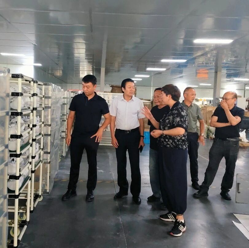 安徽省浙江商会