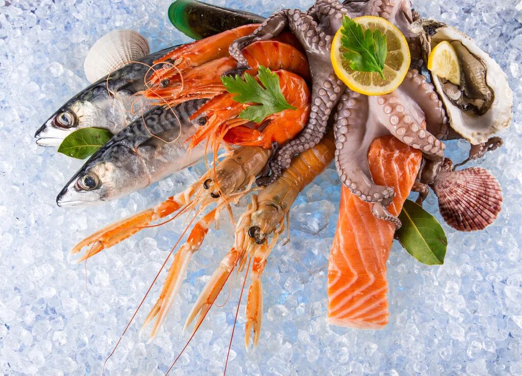 MetInfo enterprise content manager system | MetInfo CMS