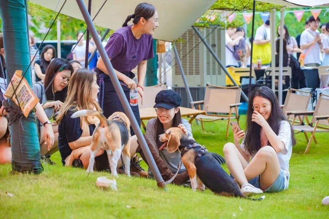 MetInfo enterprise content manager system | MetInfo CMS