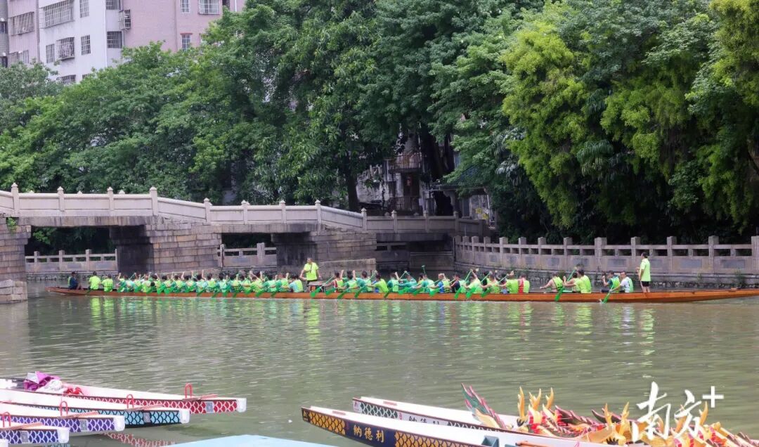 石井河上的龙舟赛