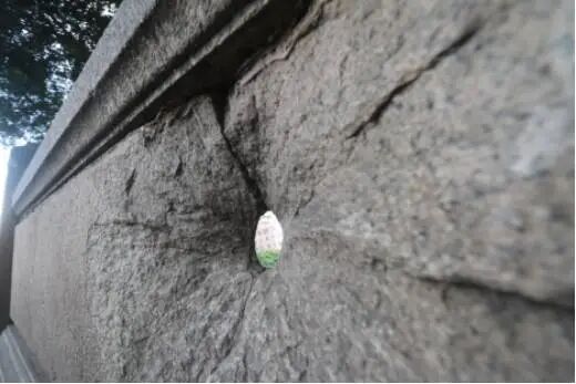 石井桥上的弹孔