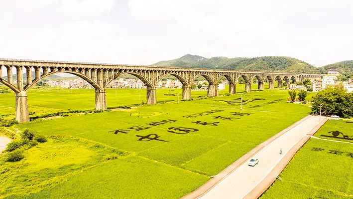 罗定长岗坡大道规划图图片