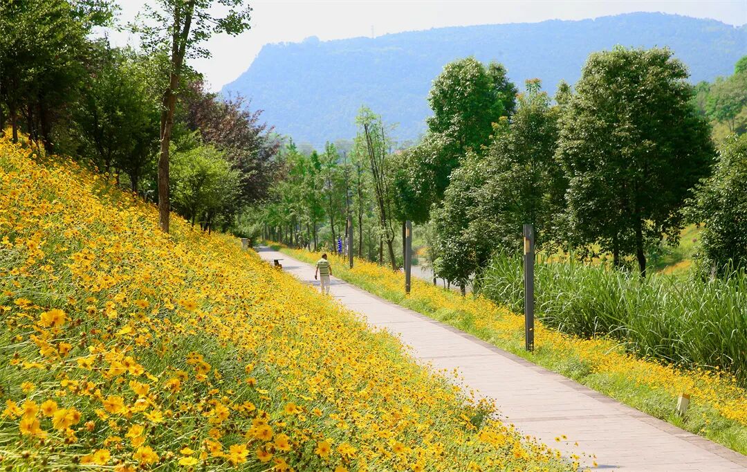重庆年内将开放50个以上城市公园绿地