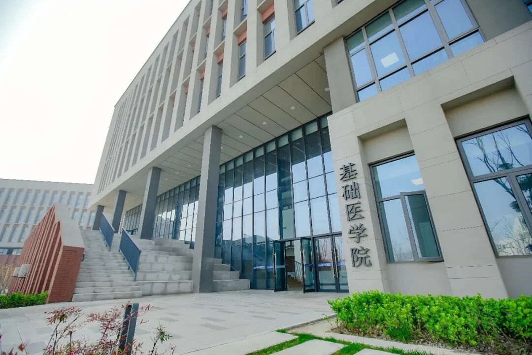 WPS图片.jpeg