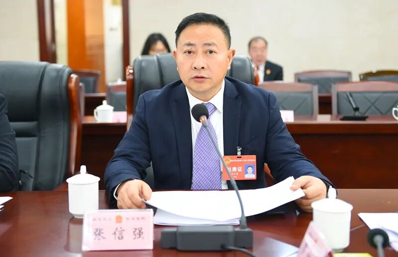 永联园区商会会员参加永川区2024年两会履职风采特辑