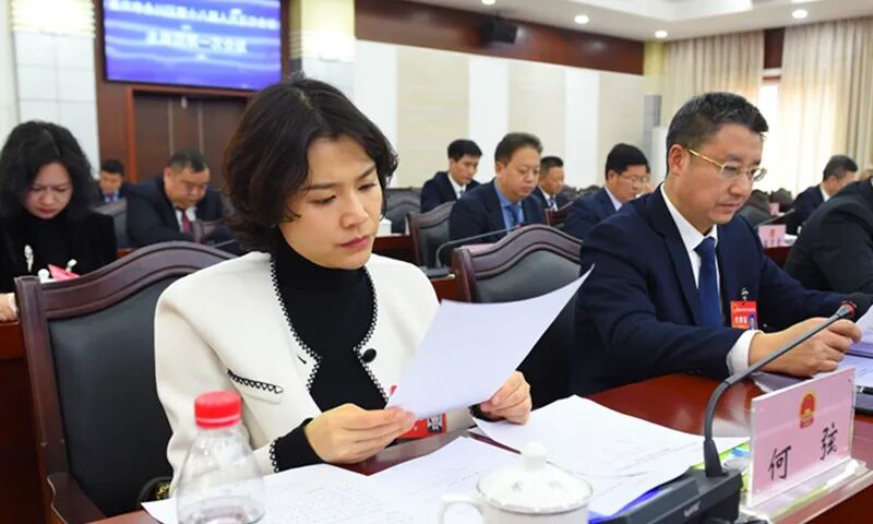 永联园区商会会员参加永川区2024年两会履职风采特辑