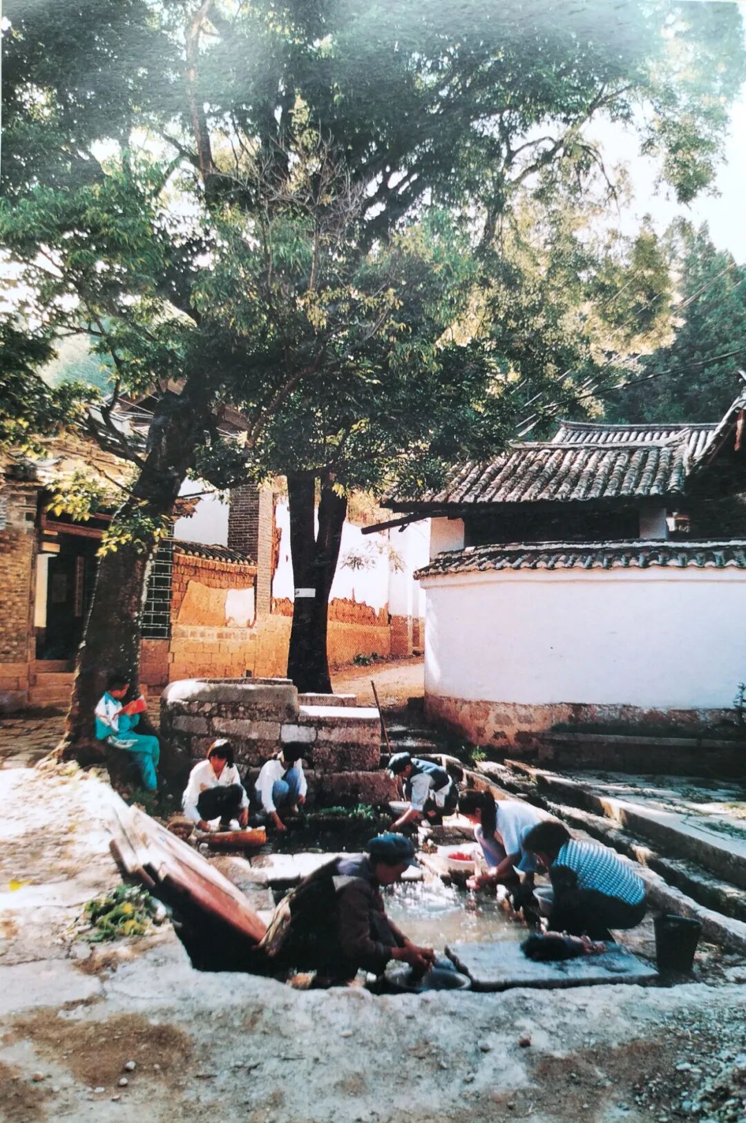 微信图片_20240814093920.jpg