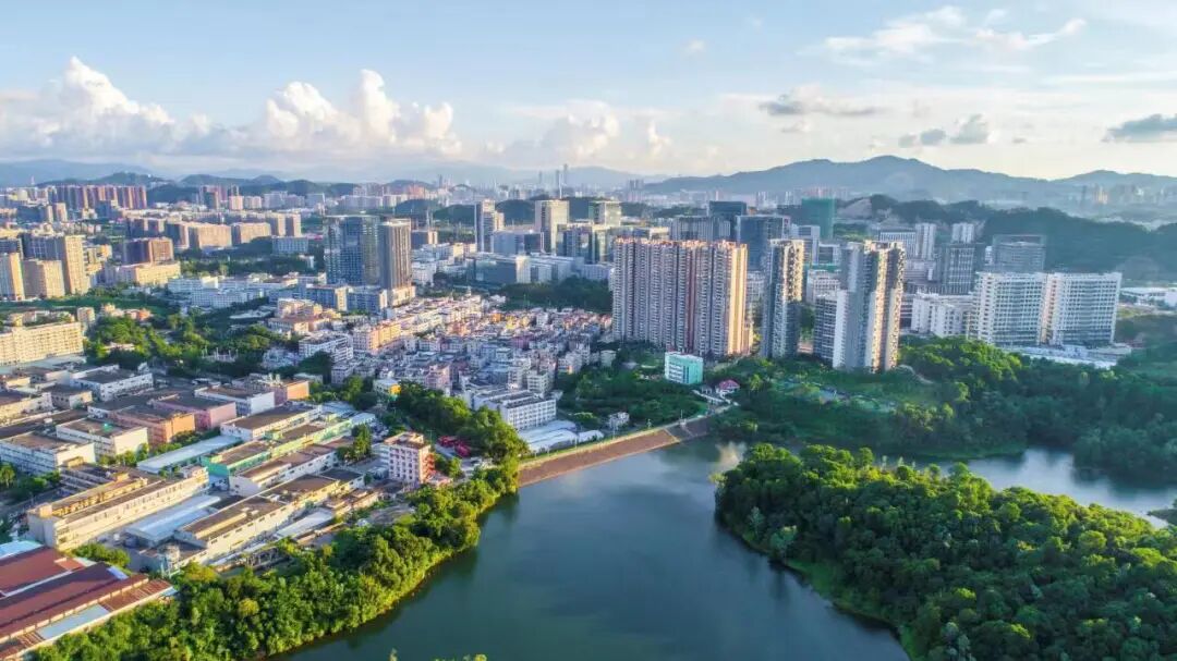 摄友注意奖金最高3000元南湾邀您来参加摄影大赛啦