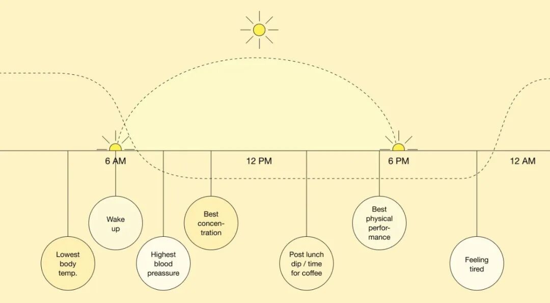 Large Image Module.png