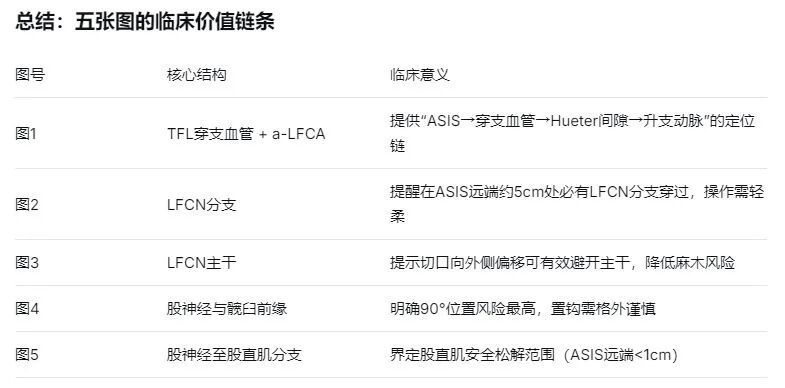 DAA全髋置换：关键解剖标志与操作要点