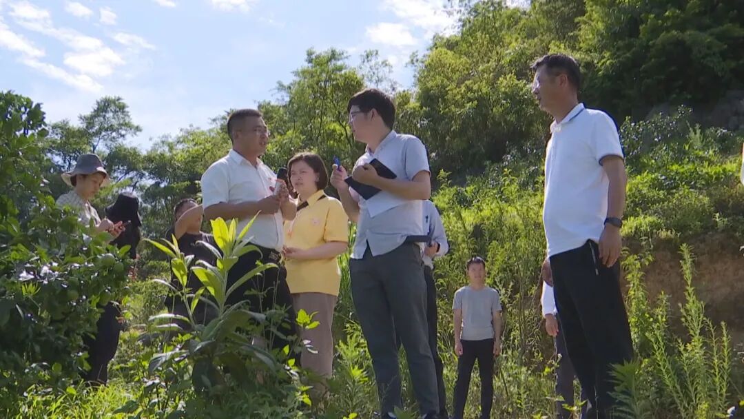 【网络文明贵州行动】中央,省级主流媒体走进贵州安龙开展主题采访