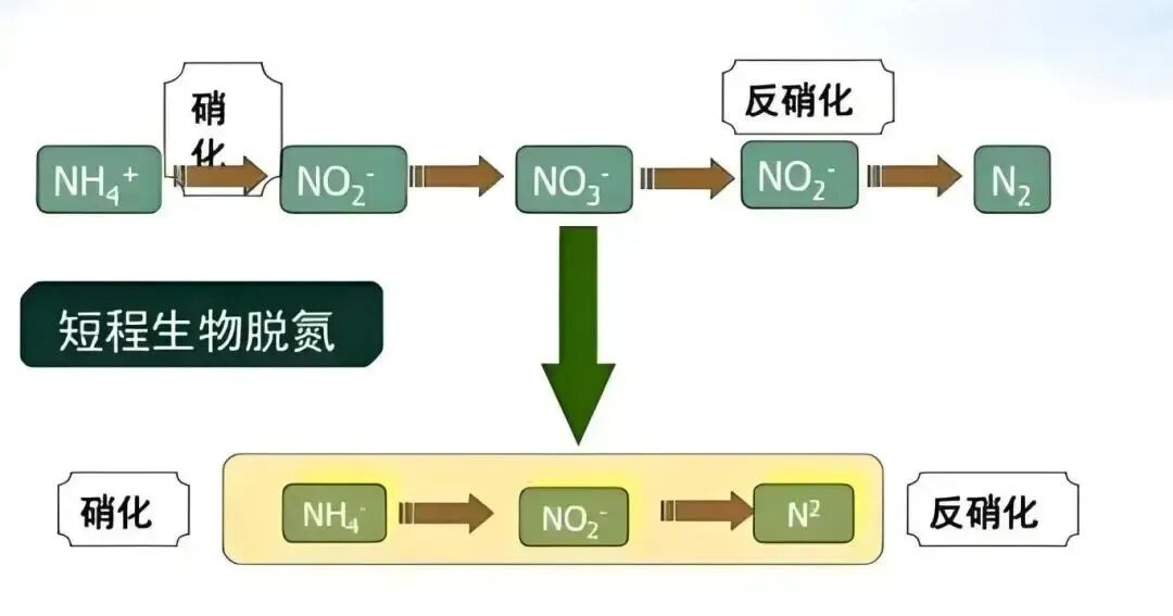 硝化系统崩溃了，怎么办？