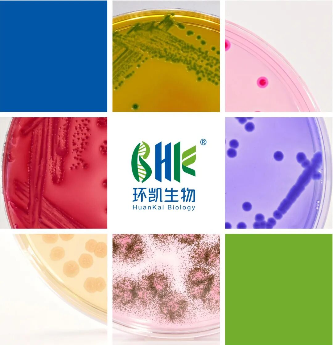 Q-strain®定量质控菌种