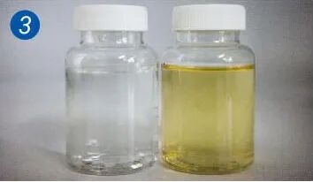 置于培养箱培养24小时