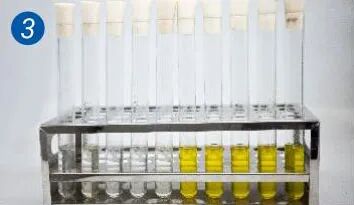 培养24h，查看试管颜色，如变黄为总大肠菌群的阳性检测结果