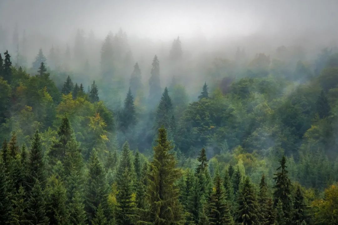 大自然木地板產(chǎn)地在哪里_大筒木阿修羅vs大筒木因陀羅_安心地板和大自然地板