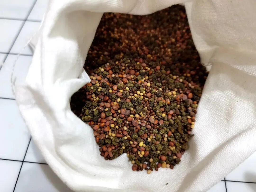 中药热奄包怎么蒸【妇幼中医】能治病的“暖宝宝”——中药热奄包_https://www.jmylbn.com_新闻资讯_第6张