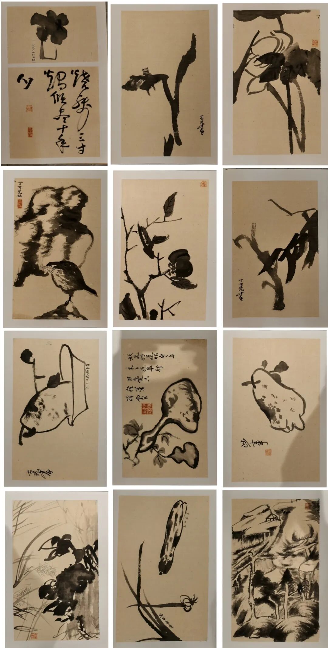 图片