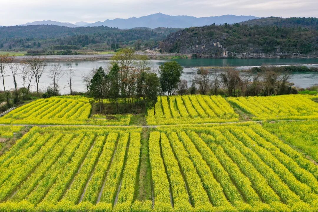 广西桂林市全州县人民政府门户网站 www.glqz.gov.cn