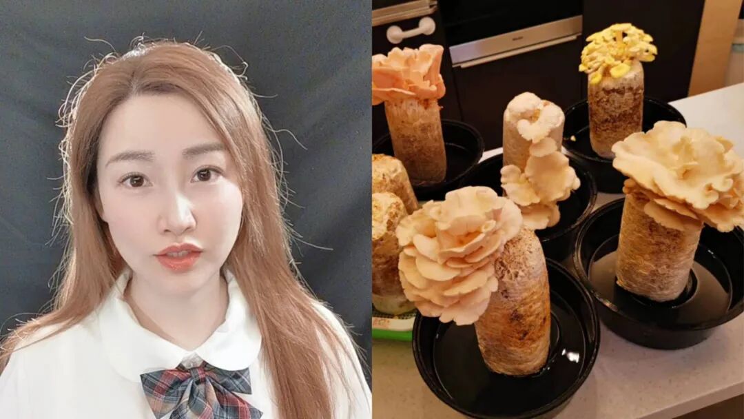 可直达现场哦~标签老公前任娃娃颜值mv注:版权归原作者"ayawawa"所有