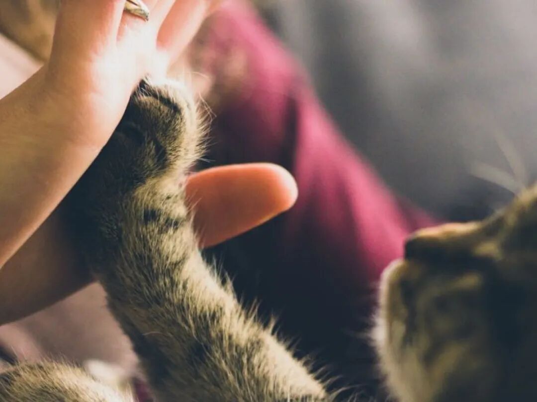 选品：这是个没有受到危机影响的市场！