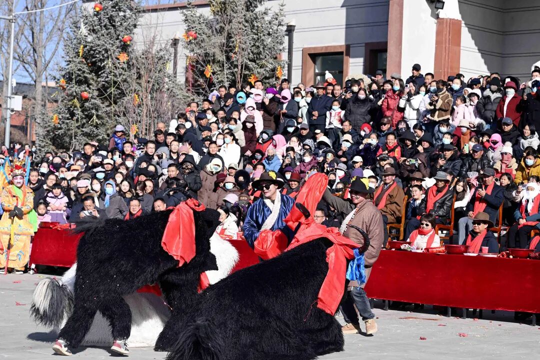 微信图片_20260303155359_45_139.jpg
