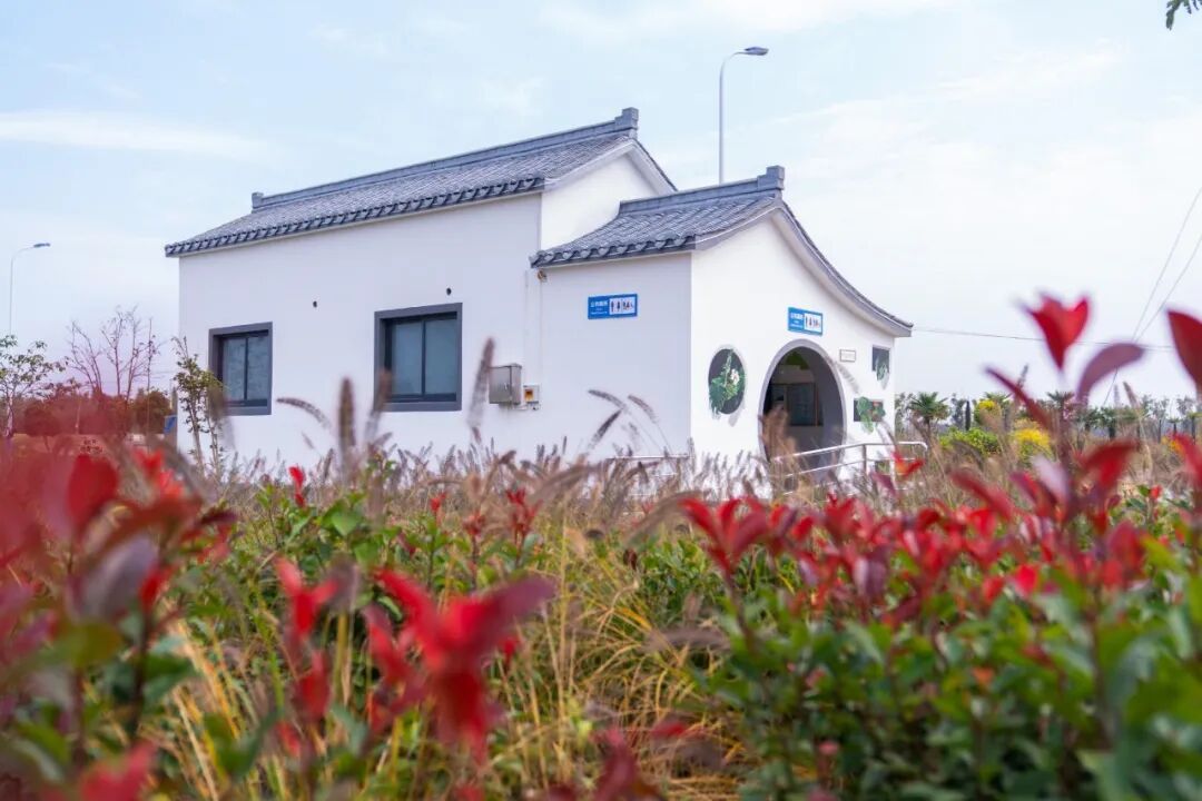 金汇镇厕界新秀等你来探秘