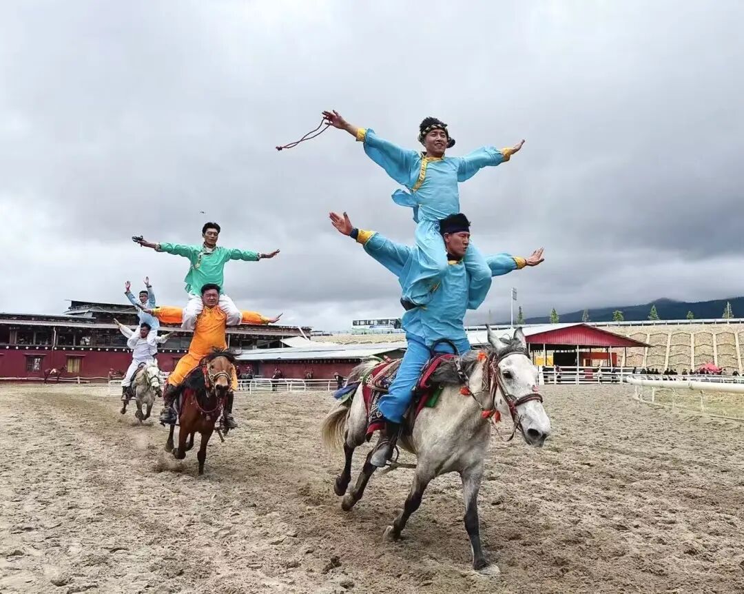 12.香格里拉赛马。马新焕 摄.jpg