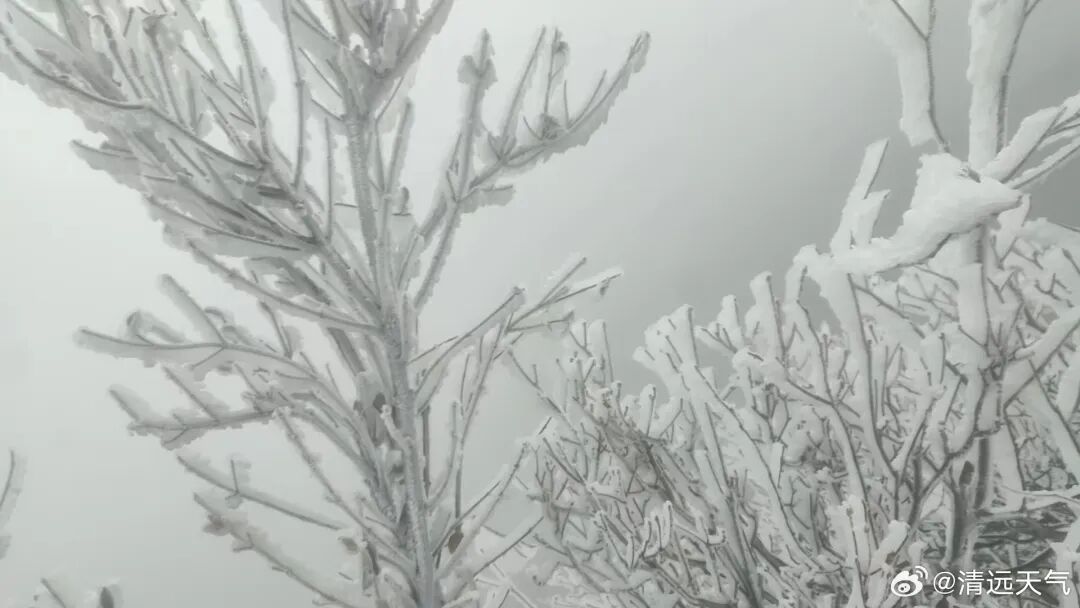 连山金子山。图/@清远天气